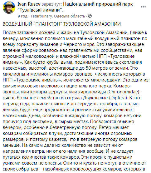 На Одесчине после ливней и жары - нашествие комаров 05