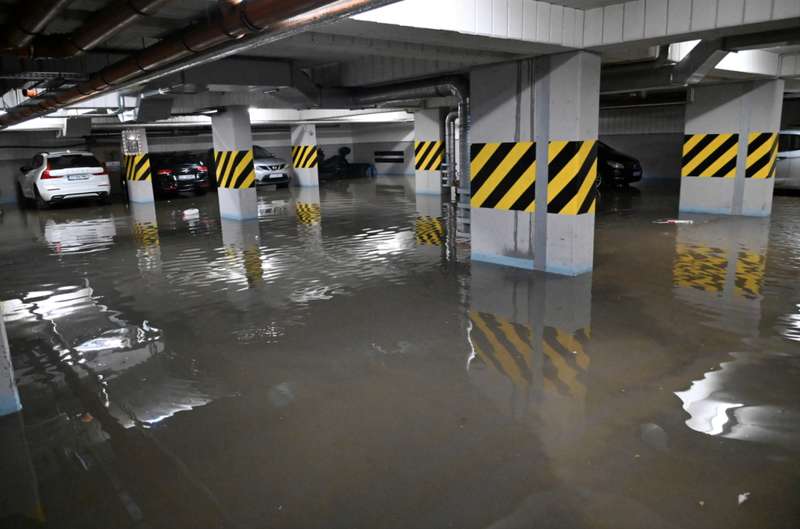 Фото: pap.pl / ©  dqxikeidqxidqrant