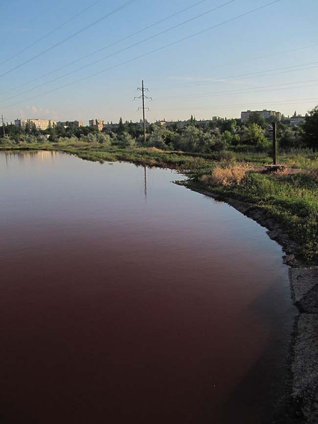 Використано власні фото автора та фото з сайту http://www.0564.ua saksagan2 dqxikeidqxidqrant