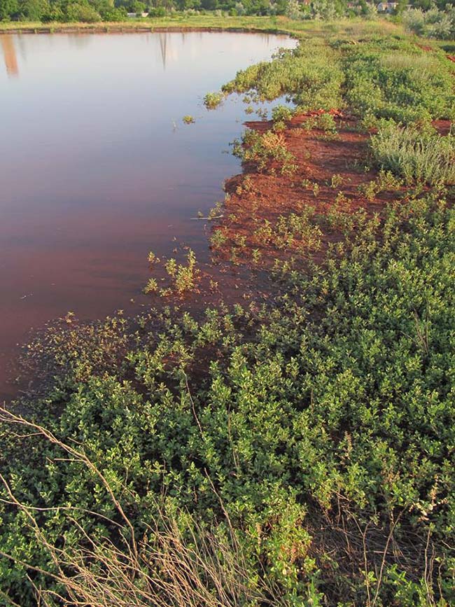 Використано власні фото автора та фото з сайту http://www.0564.ua saksagan3