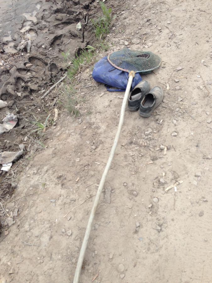 IMG_0439 dqxikeidqxidqeant