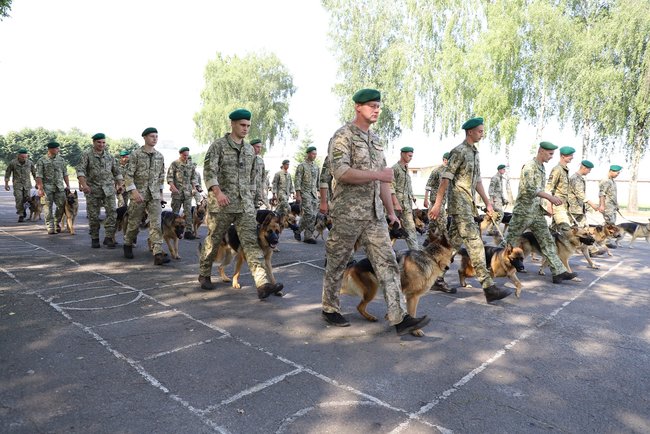 -            02 dqxikeidqxidqeant