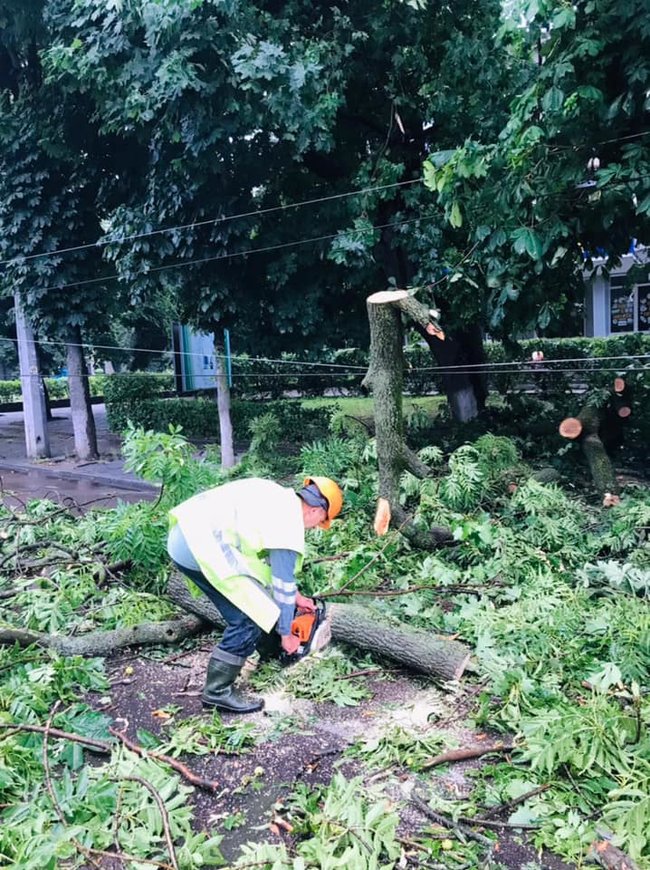        , -  02 dqxikeidqxidqrant