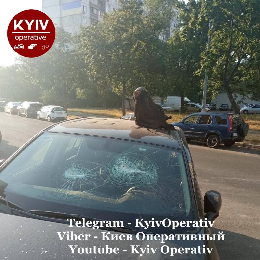 На крышу авто положили голову коровы.