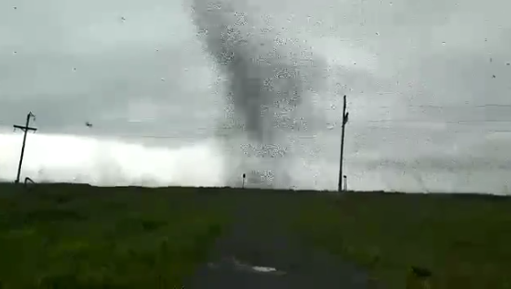 Тучи комаров на Камчатке. dqxikeidqxidqeant