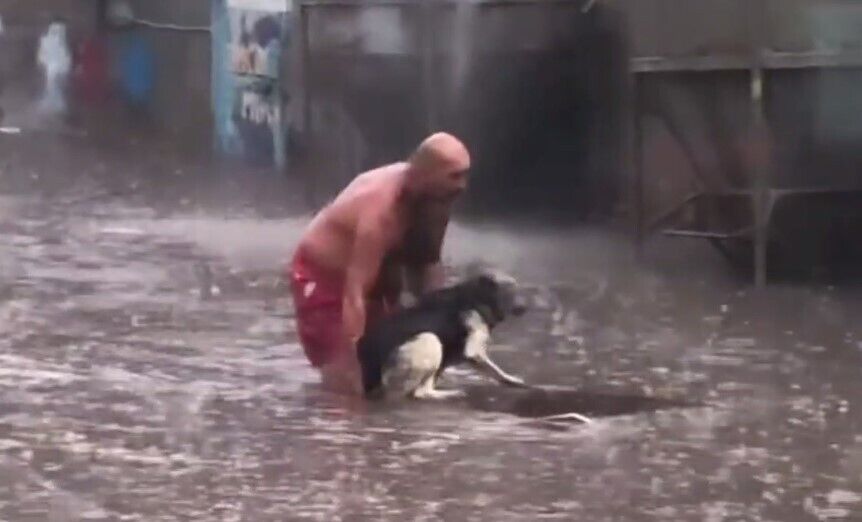 Мужчина спас собаку от смерти.