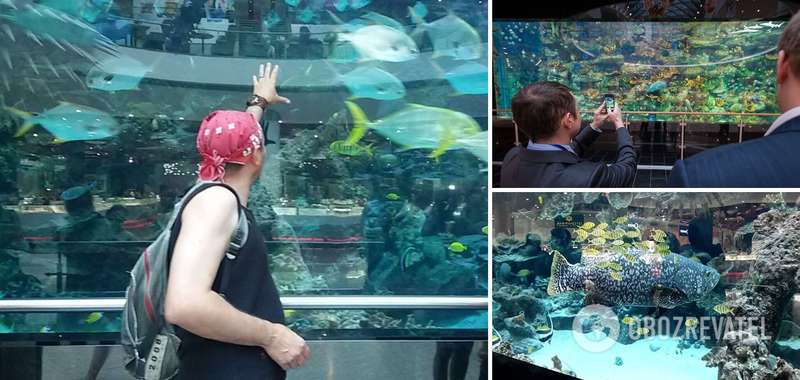 В Украине запретили держать в общественных местах животных из Красной книги. dqxikeidqxidqrant