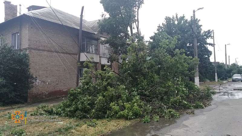 Багато дерев повалив вітер