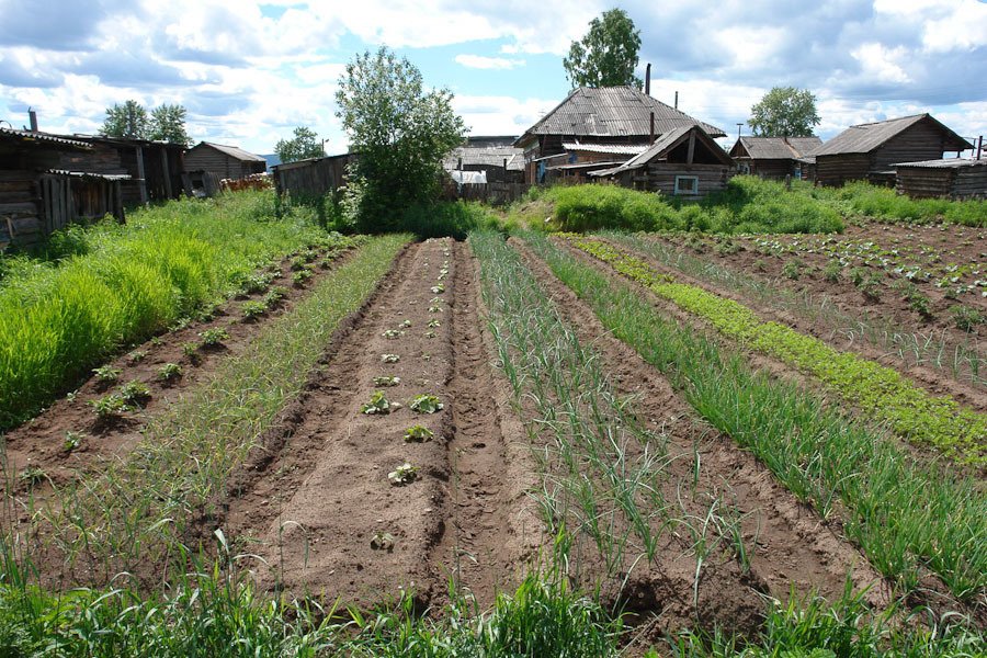   :       dqxikeidqxirzant