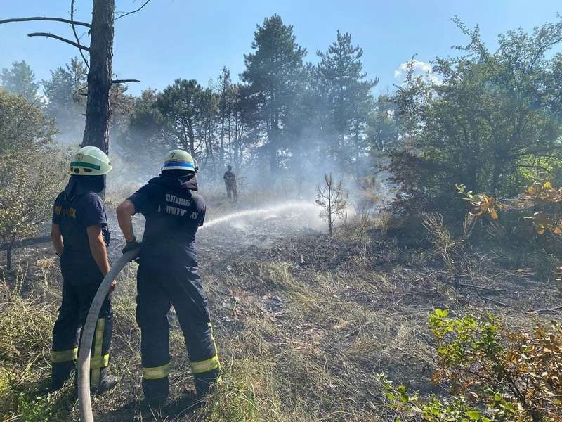     ,  .    dqxikeidqxidqrant