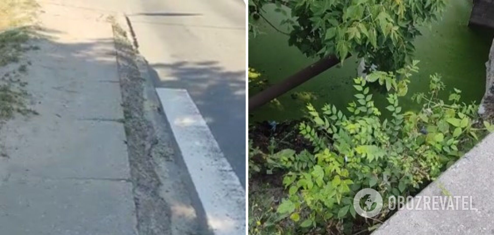 Место инцидента dqxikeidqxidqrant