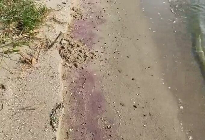 На берегу появился красный шлам dqxikeidqxidqrant