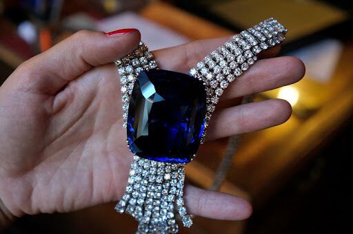  Blue Belle of Asia dqxikeidqxitkant