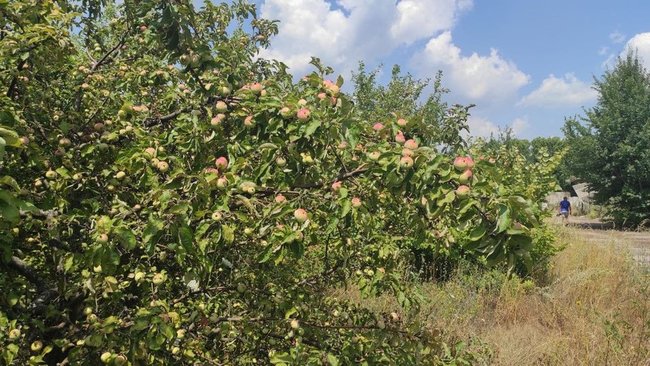  6-   : 13-     01 dqxikeidqxiqqdant