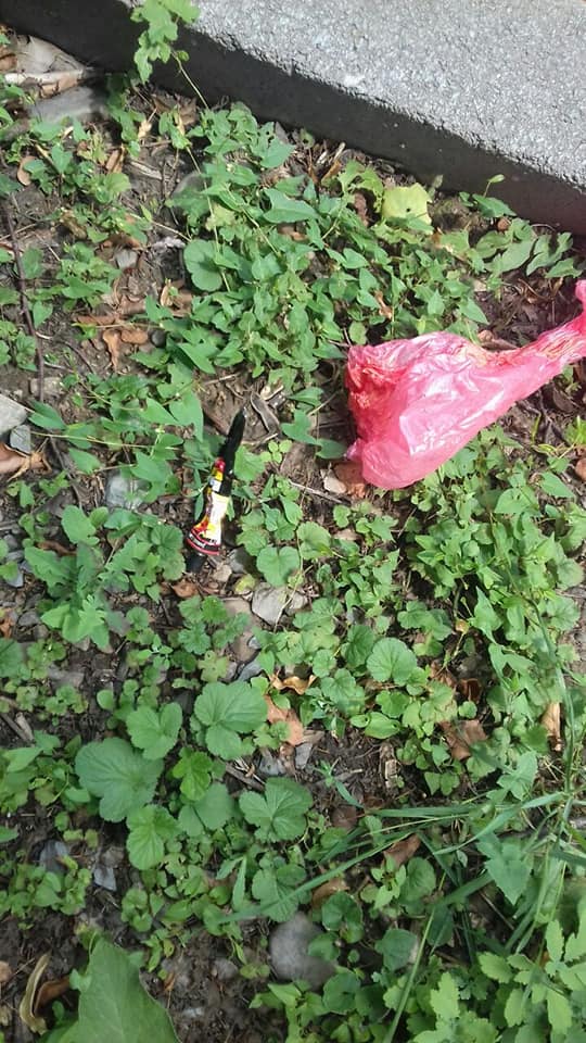 На зображенні може бути: на відкритому повітрі dqxikeidqxidqeant