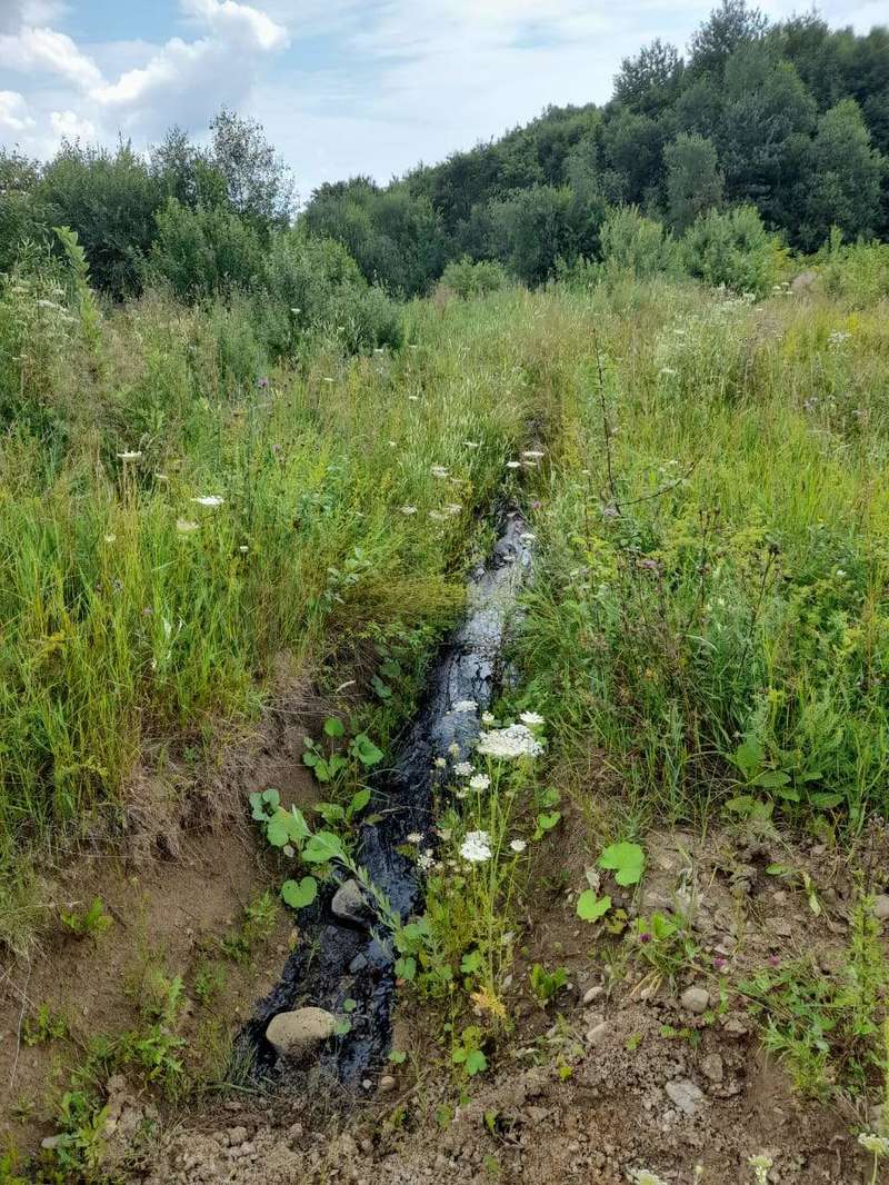 На Львівщині Вилив нафти Біля Сколе 30.07.2021 dqxikeidqxidqeant