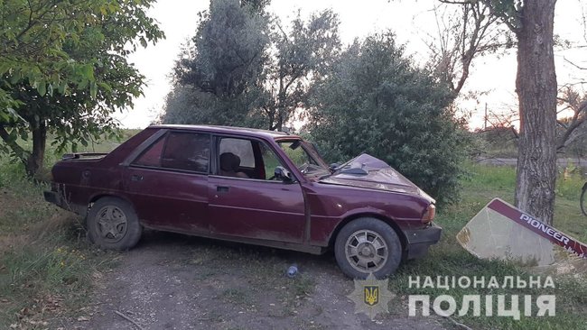 Водитель Peugeot погиб в ДТП на Николаевщине, - полиция 02 dqxikeidqxidqeant