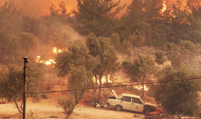 В Турции до сих пор не потушили пожары. dqxikeidqxidqrant