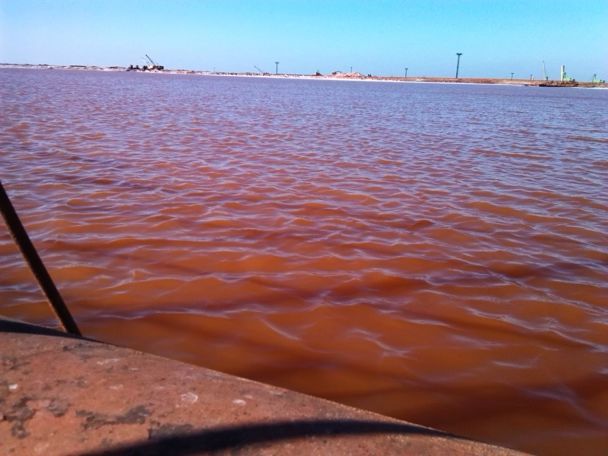 ©  dqxikeidqxidqrant