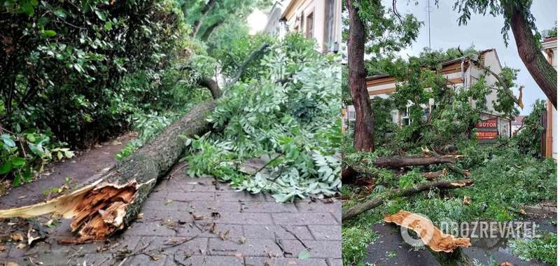 последствия урагана