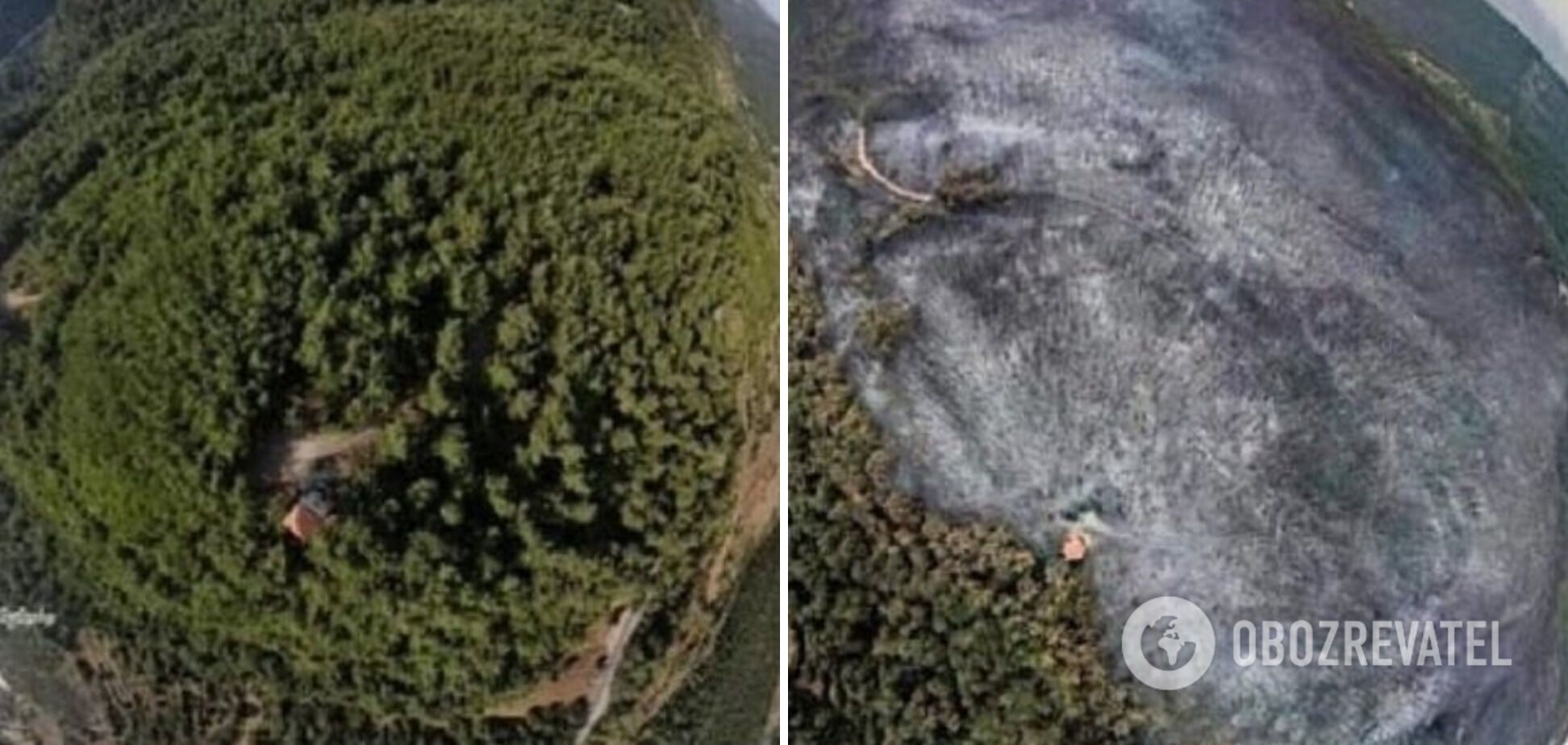 Лес до и после пожара. dqxikeidqxidqeant