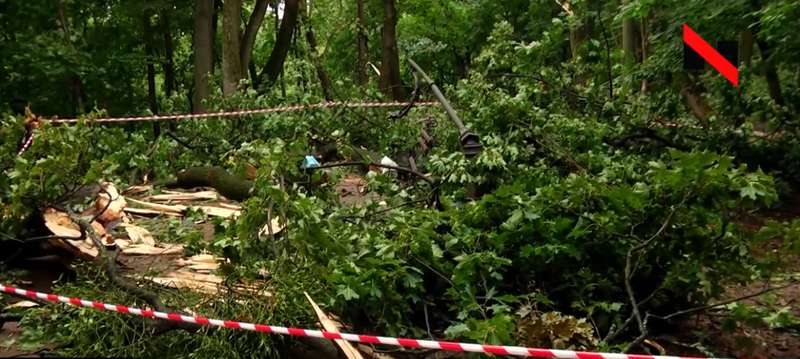 Место, где произошла трагедия