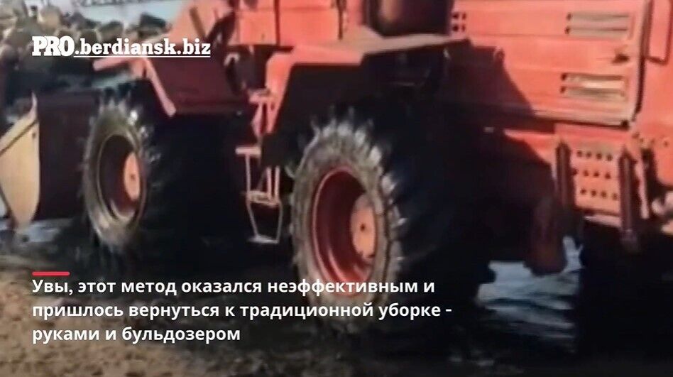 Морскую траву убирают бульдозером