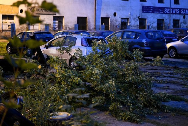 Польшу затопило: в стране прошли сильные ливни 14