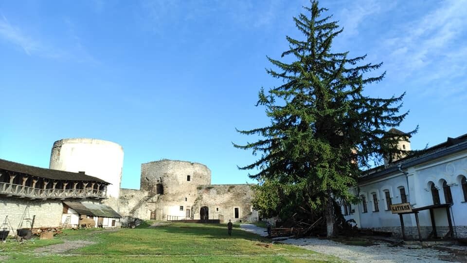 Директор музея-заповедника показал последствия непогоды