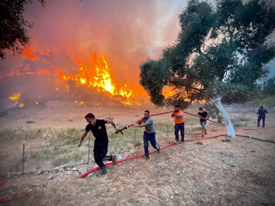   ,  dqxikeidqxidqrant