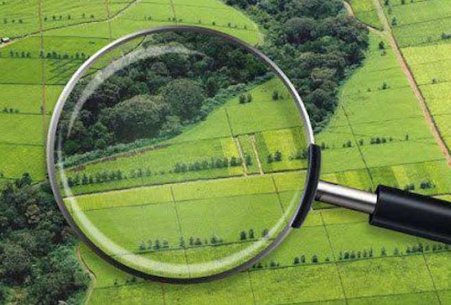 За час з відкриття ринку земель сільгосппризначення, було оформлено близько пʼяти тисяч угод купівлі та продажу земель. Про це повідомив перший заступник Голови Державної служби України з питань геодезії, картографії та кадастру Анатолій Мірошниченко