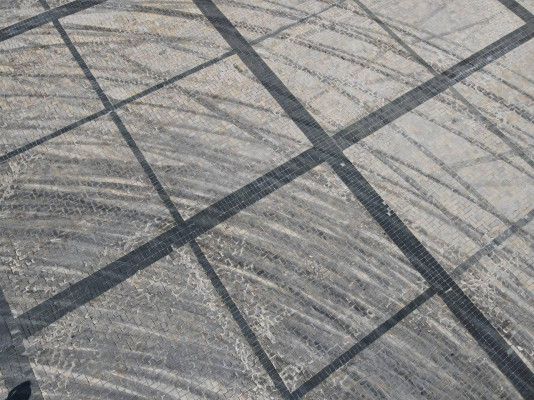  -     dqxikeidqxidtant