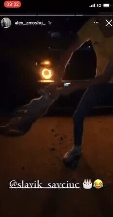 Кадры с издевательств над животным