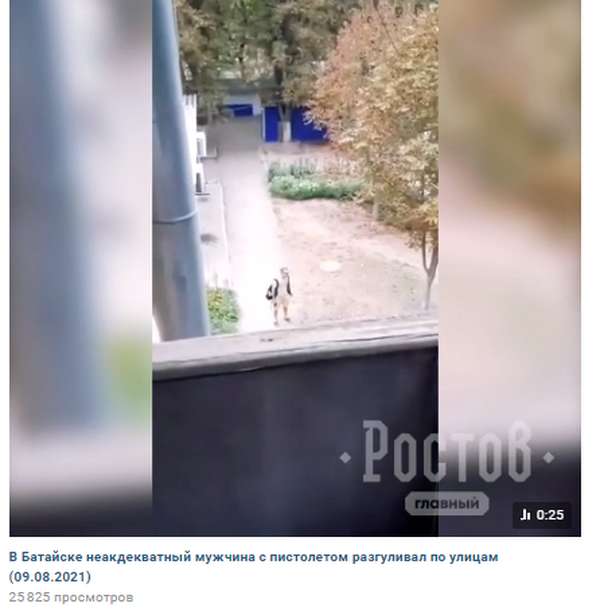 Отнять и поделить: эпоха "мамкиных расстреливателей"