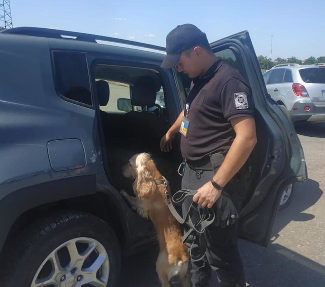           , -  01 dqxikeidqxiruant