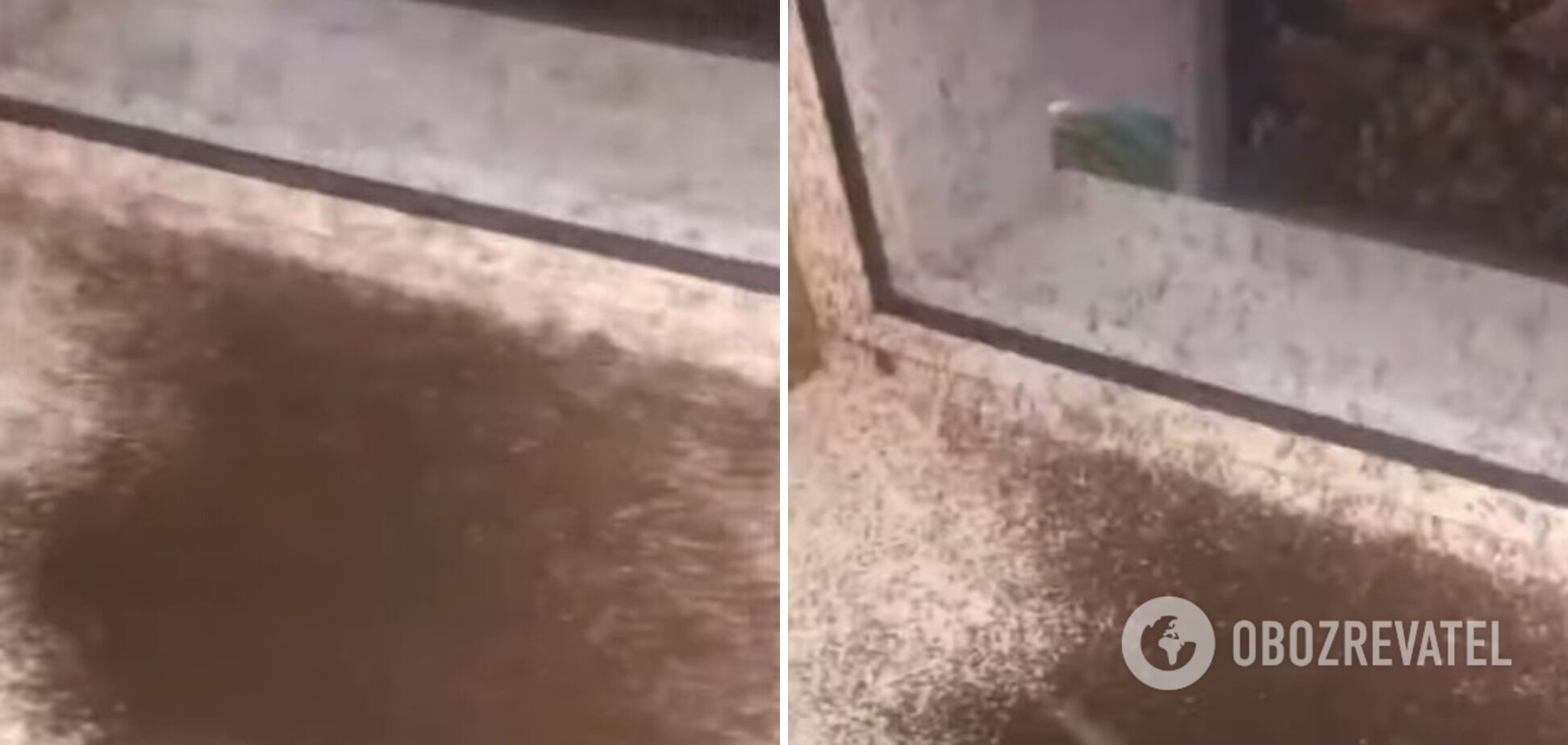 Нашествие комаров в Кирилловке dqxikeidqxidqrant