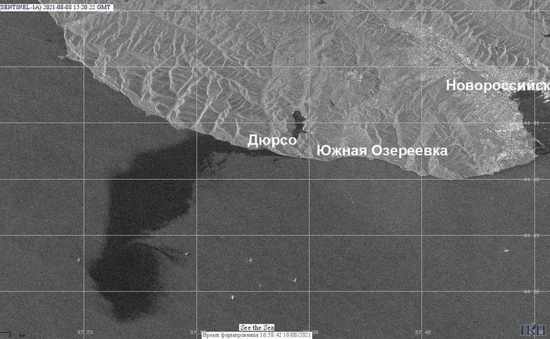 Кто заплатит за экологическую катастрофу на Черном море - фото 1 dqxikeidqxidqrant