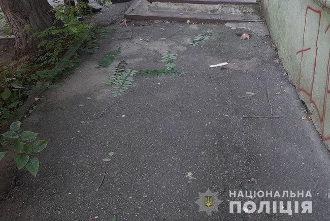      4-   , -  02 dqxikeidqxidqrant