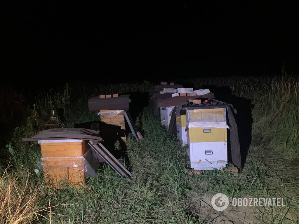 Пенсионер приехал к себе на пасеку.