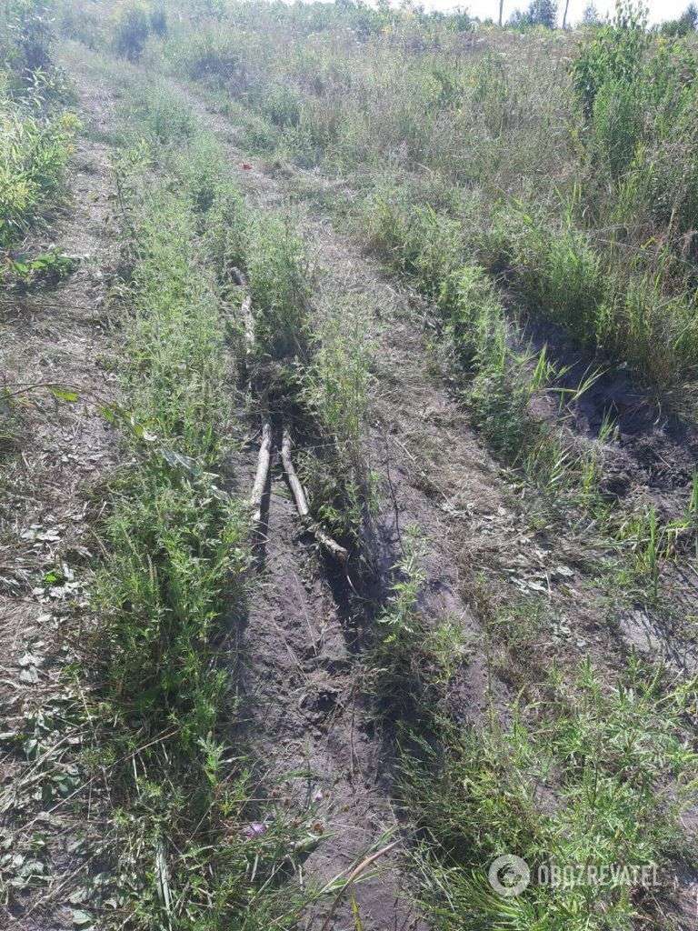 Злоумышленники застряли посреди дороги.