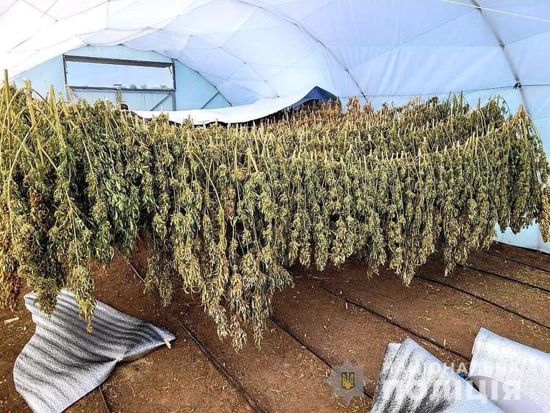       « »  11   (, ) - 1 -  dqxikeidqxidqrant