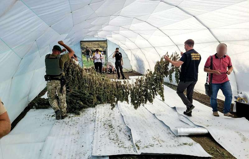       « »  11   (, ) - 2 - 