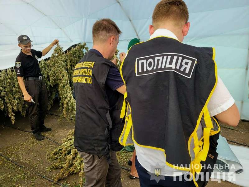       « »  11   (, ) - 4 - 