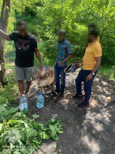         02 dqxikeidqxidqrant