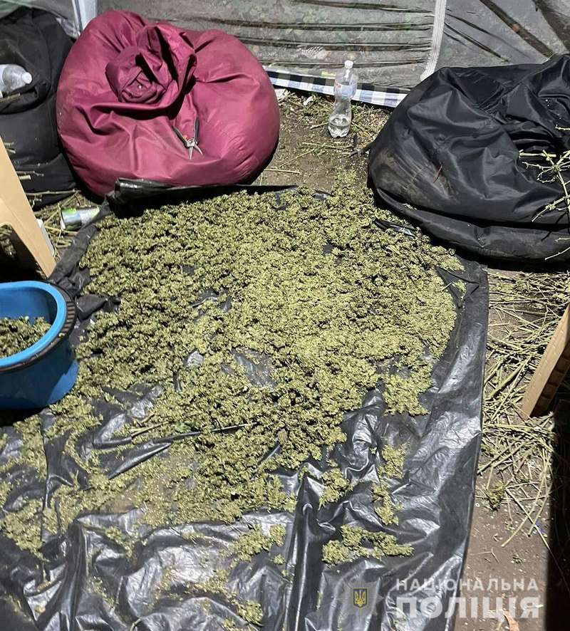 При обыске было изъято наркотическое сырье.