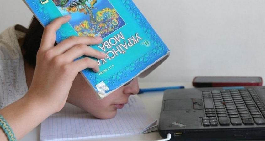 Придется учиться удаленно dqxikeidqxidqrant