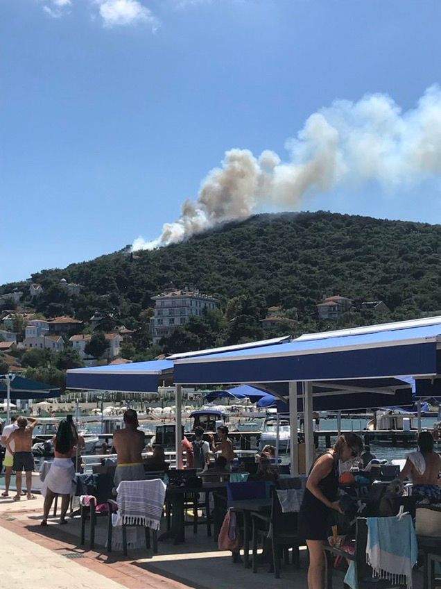 Пожежа на острові біля Стамбула dqxikeidqxidqrant