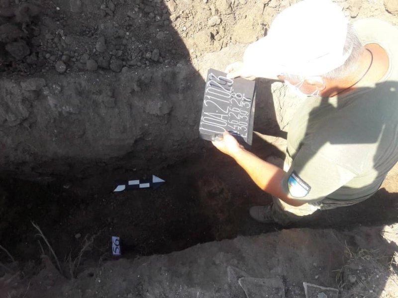 , , , dqxikeidqxidqrant