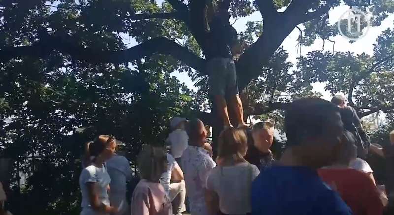    ,    dqxikeidqxidqrant