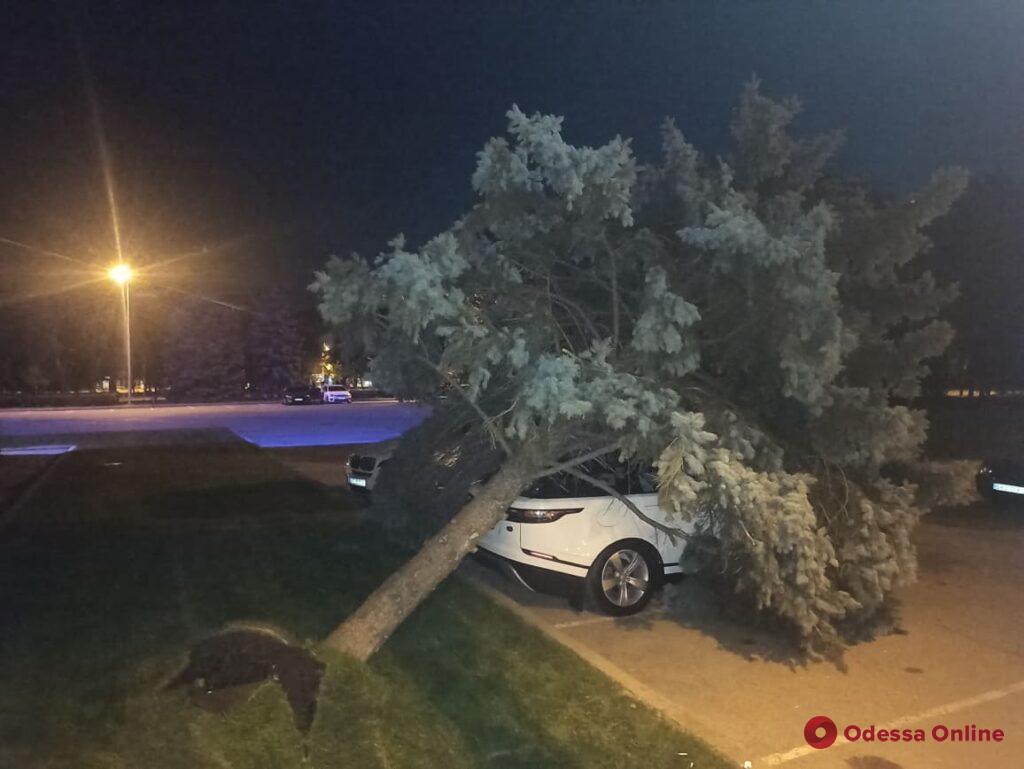 Возле Одесской ОГА голубая ель рухнула на внедорожник dqxikeidqxidqeant